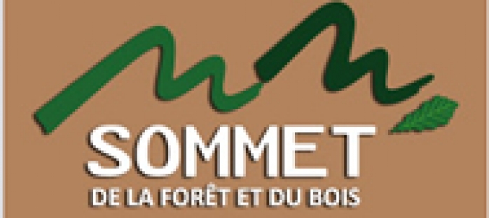 Sommet du bois